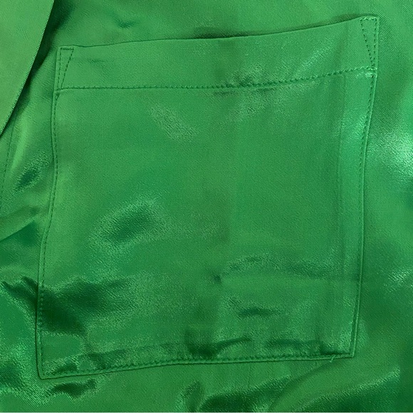 NWT Pistola Small Green Sia Blouse - Picture 12 of 13